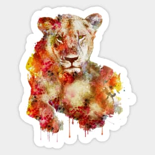 Resting Lioness in watercolor Sticker